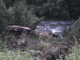 Einsätze