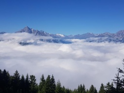 2022_07_02_Patscherkofel